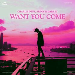 Cover of Want You Come