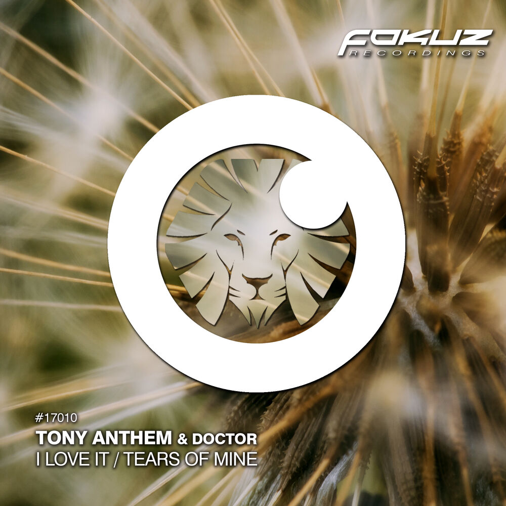 Picture of I Love It / Tears Of Mine (Extended Mix)