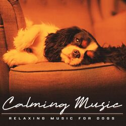 Cover of Calming Music