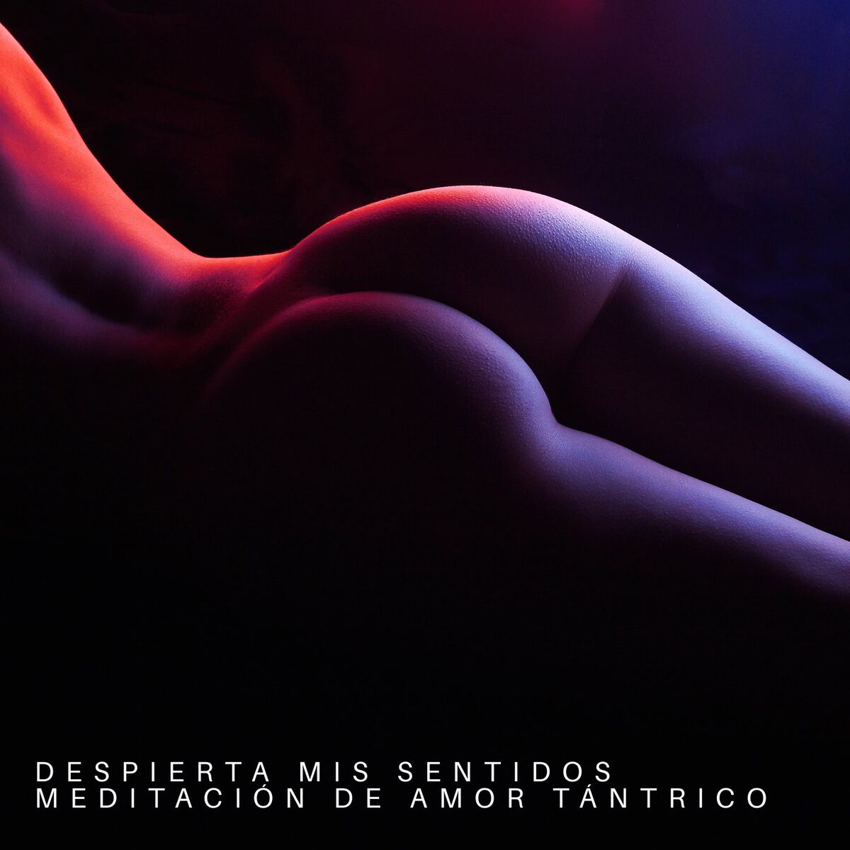 Album cover of Despierta mis sentidos: Meditación de amor tántrico, música sensual colección