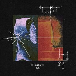 Cover of Audi