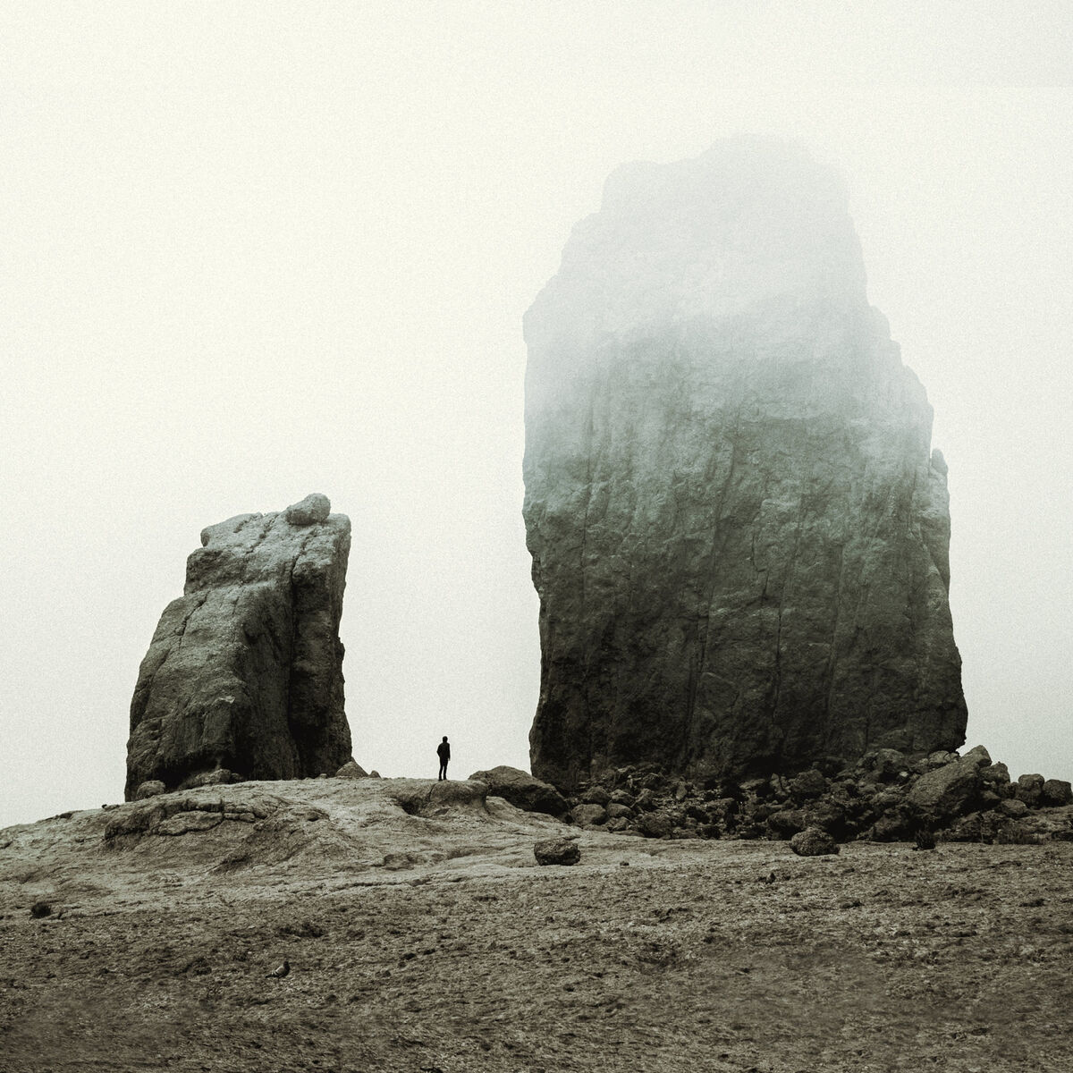 Album cover of Reunion