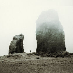Cover of Reunion