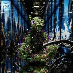 music cover