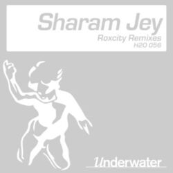 Cover of Roxcity Remixes