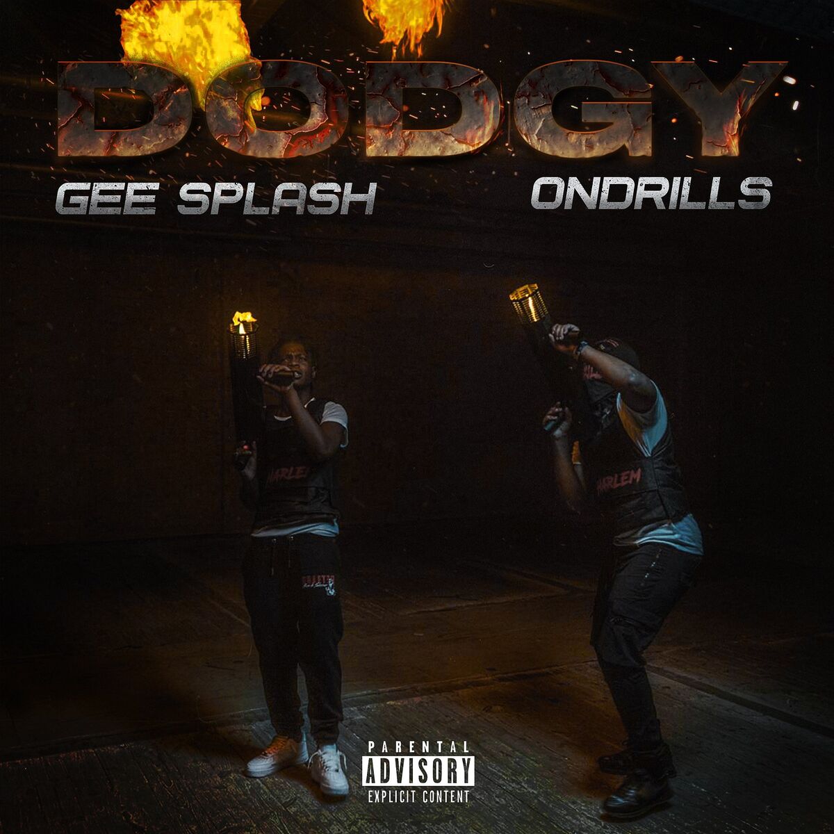 Album cover of Dodgy
