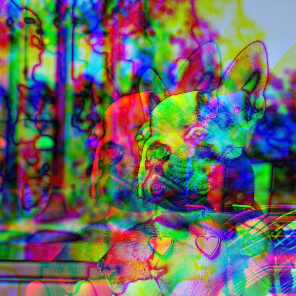 Picture of Exciting Trio Jazz - Background for Serene Doggy
