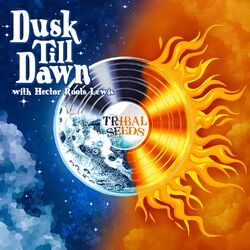 Cover of Dusk Till Dawn