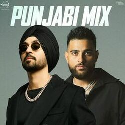 Cover of Punjab Mix