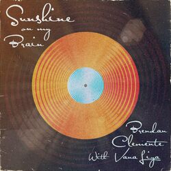 Cover of Sunshine on my Brain