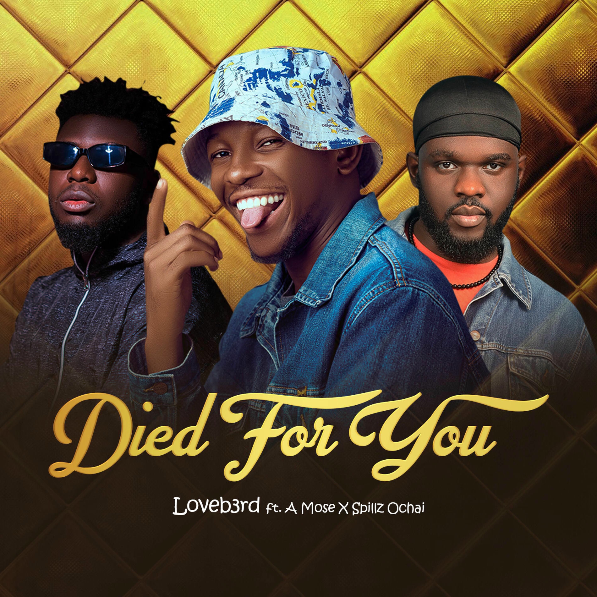 Album cover of Died For You (feat. A Mose)