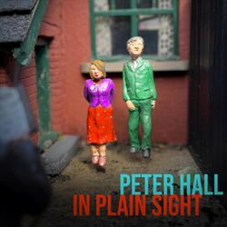 Cover of In Plain Sight