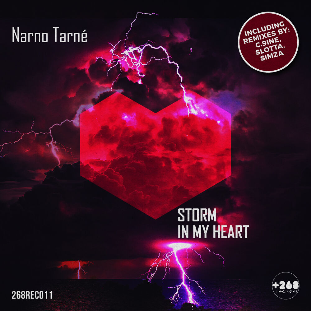 Picture of Storm in My Heart