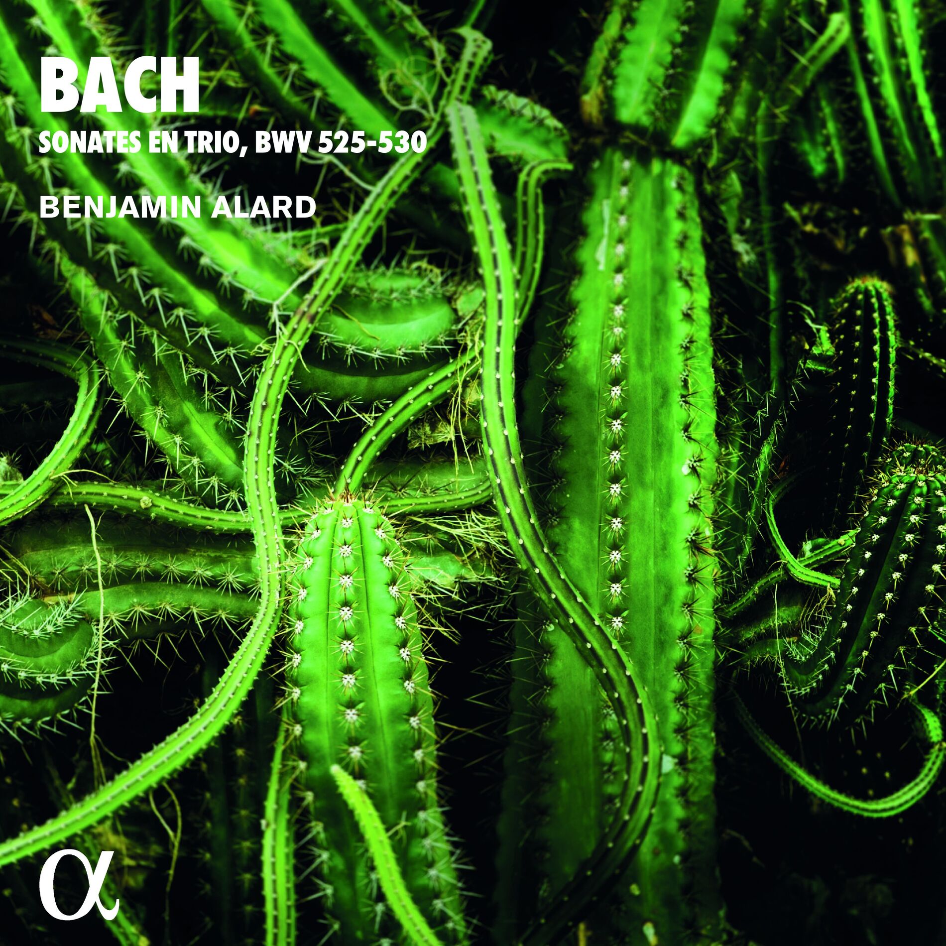 Album cover of Sonate No. 5 in C Major, BWV 529: I. Allegro