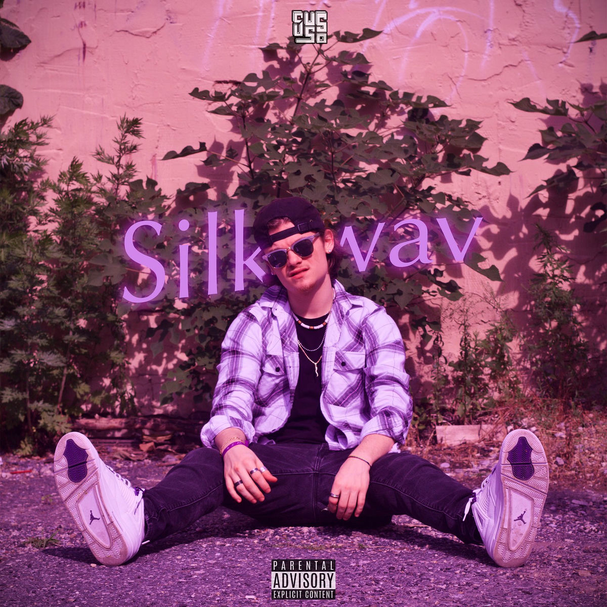 Album cover of Silk.Wav