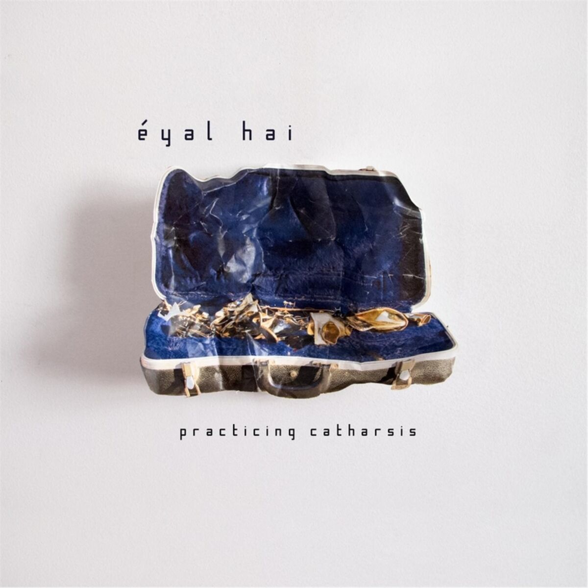 Album cover of Practicing Catharsis