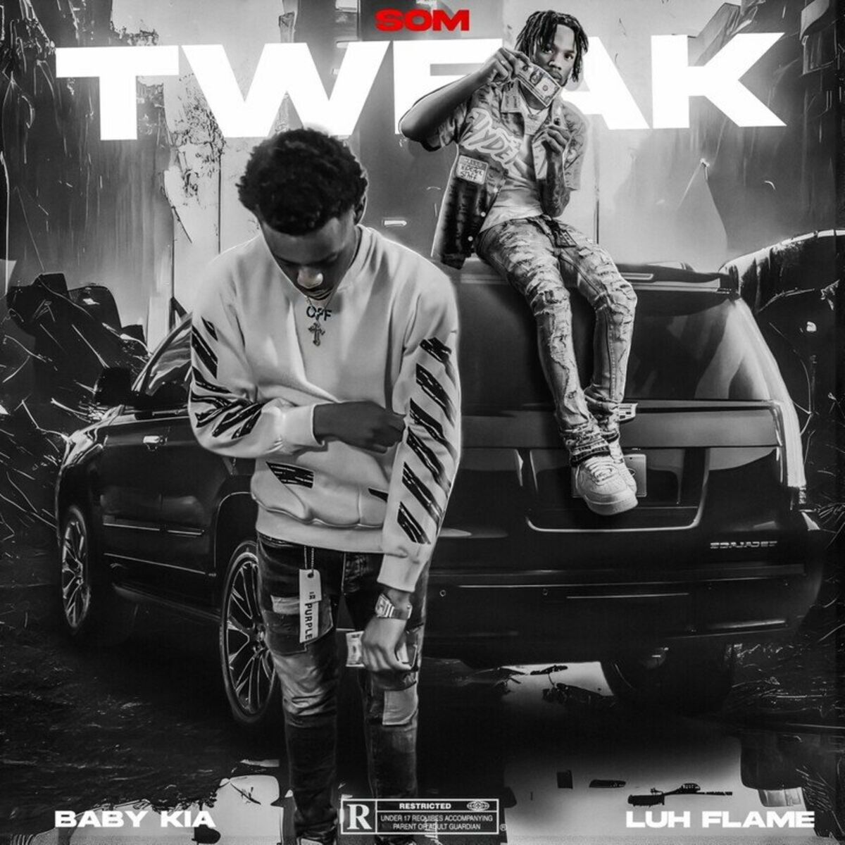 Album cover of Tweak