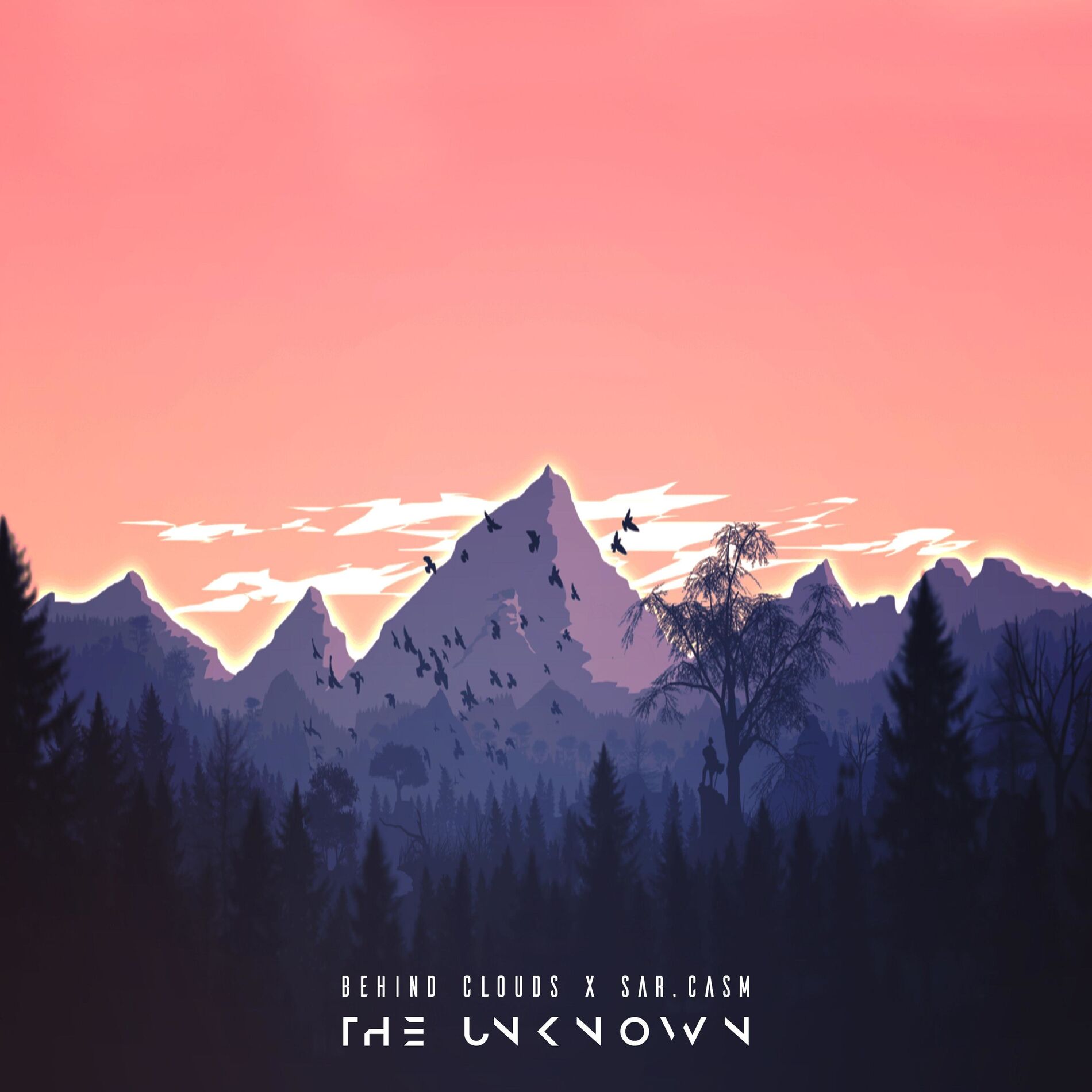 Album cover of Wonders of the Unknown