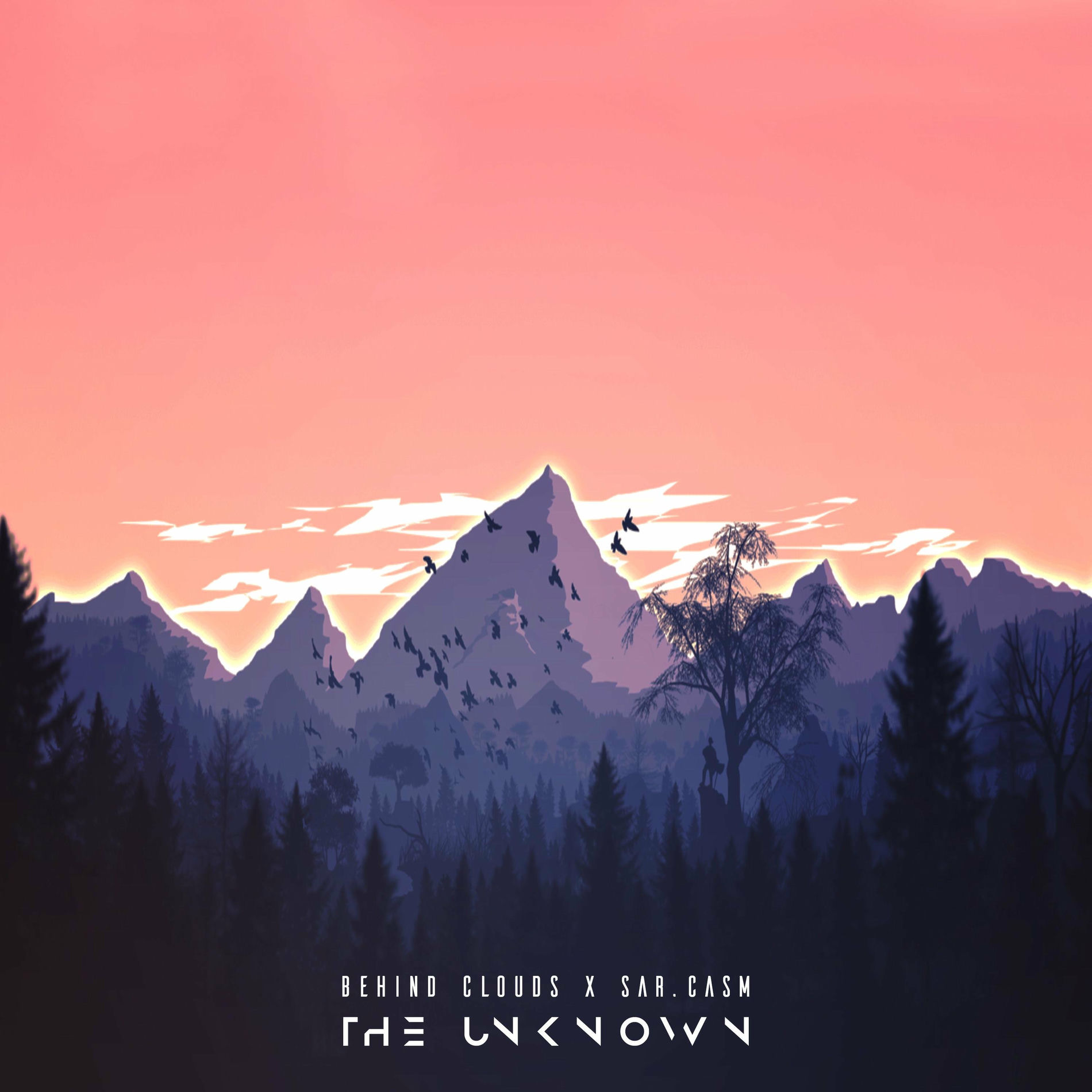 Album cover of The Unknown