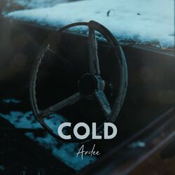 Cover of Cold