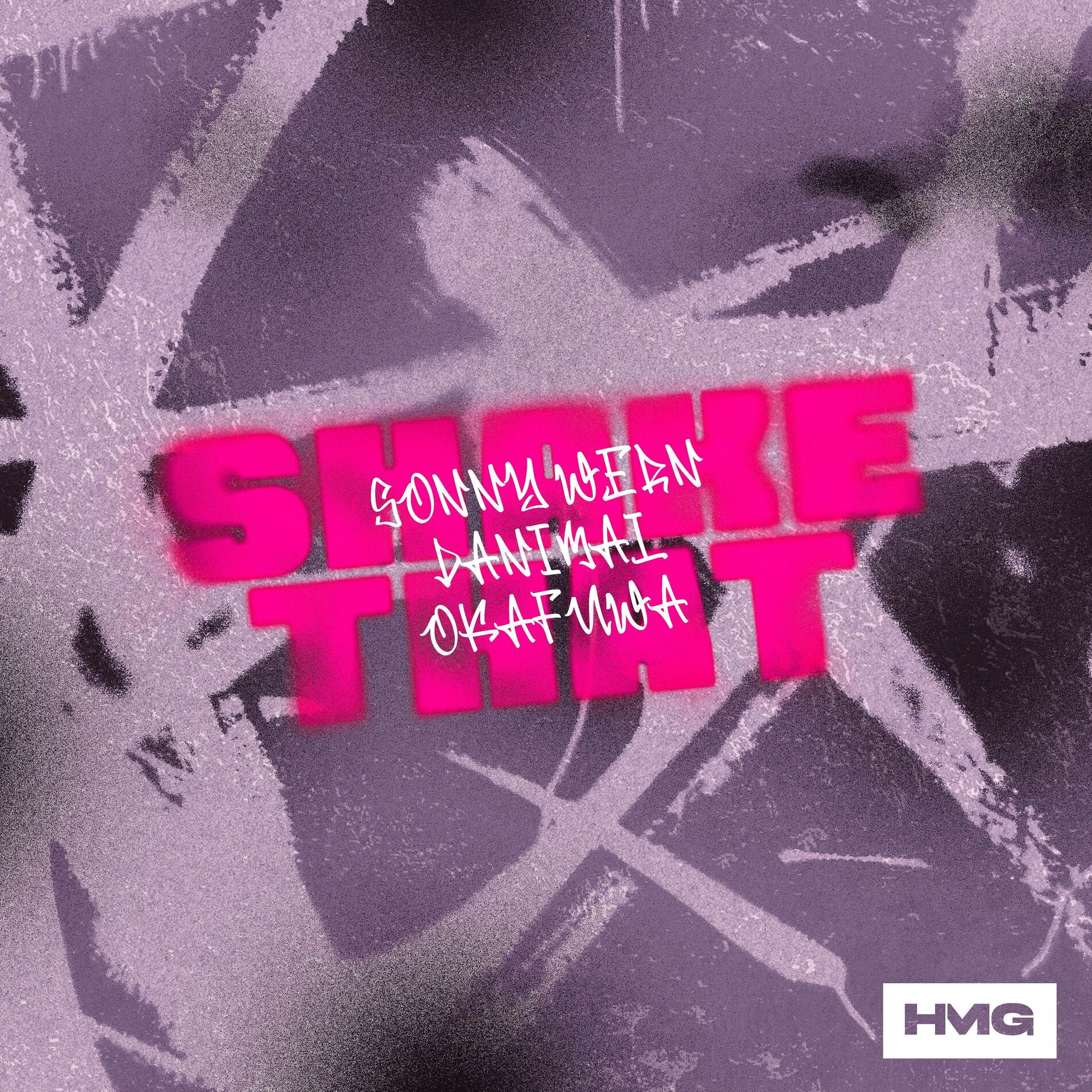 Album cover of Shake That