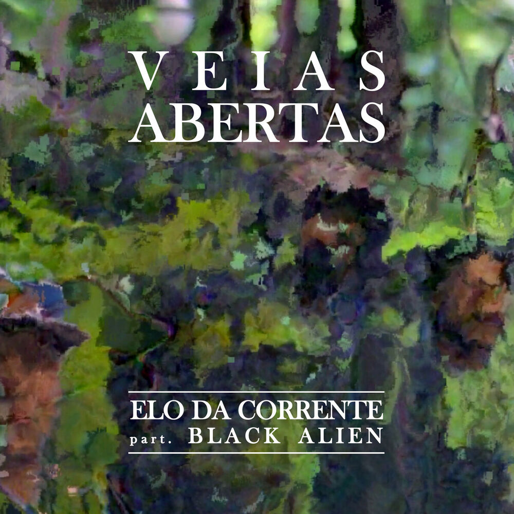 Picture of Veias Abertas
