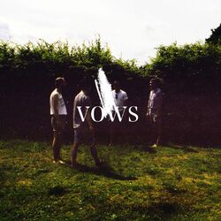Cover of Vows