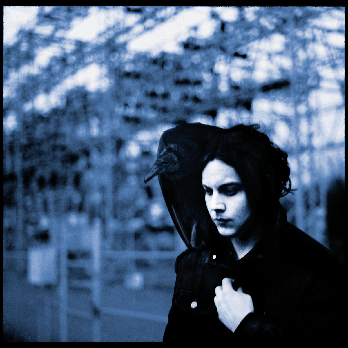 Album cover of Weep Themselves to Sleep