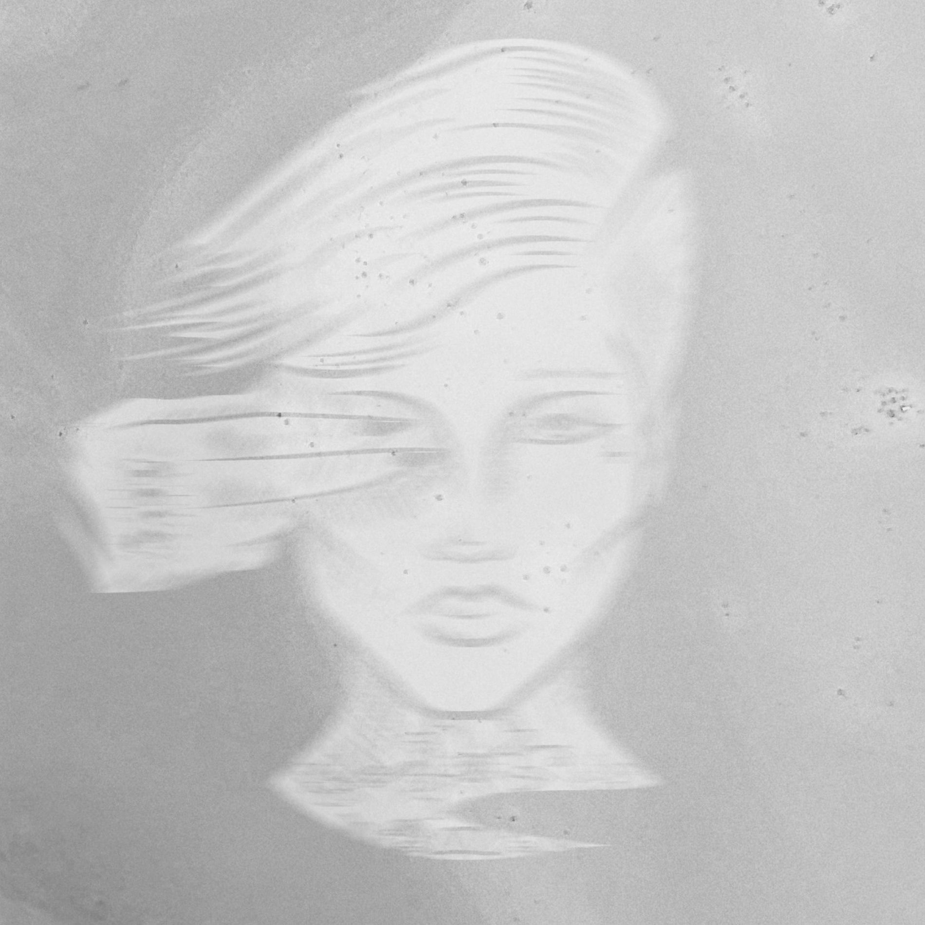 Album cover of Noire