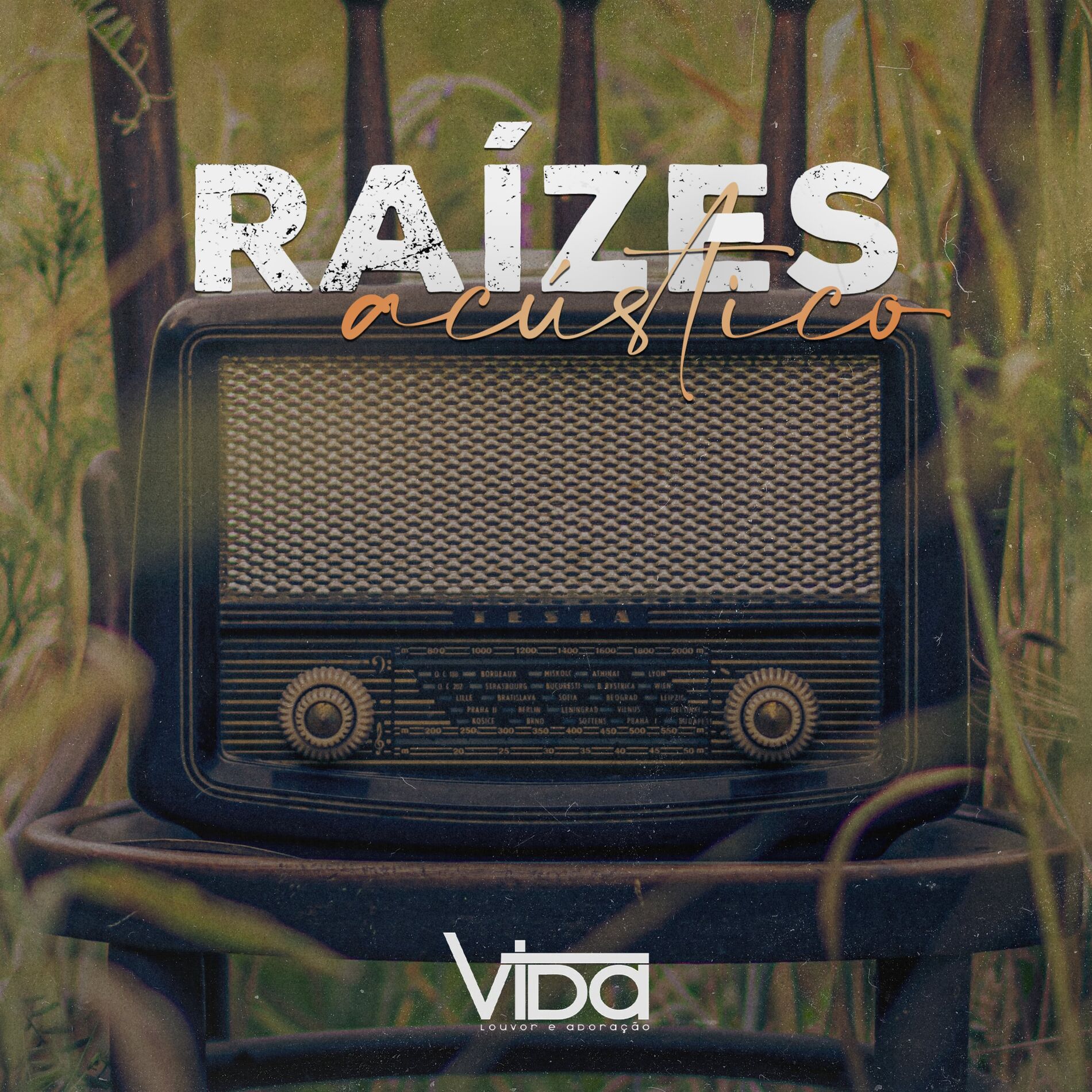 Album picture of Raízes (Acústico)
