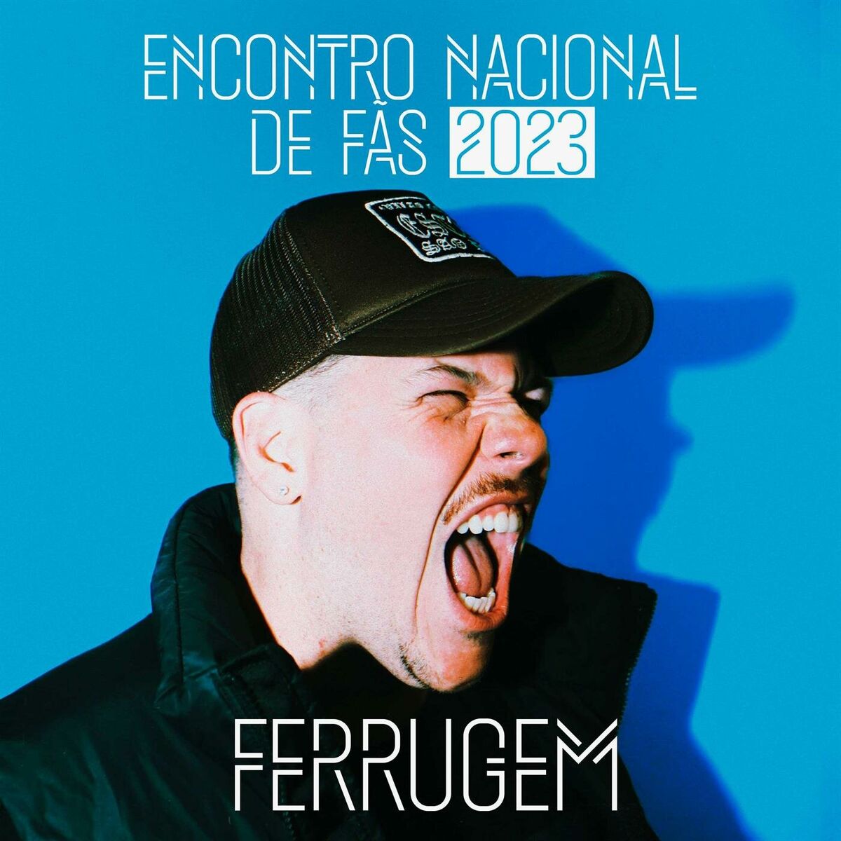 Album cover of Lágrima caindo