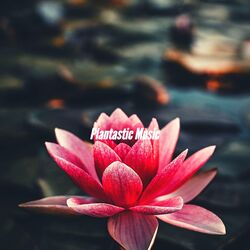 Cover of Plantastic Music