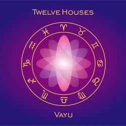 Cover of Twelve Houses