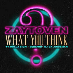 Cover of What You Think