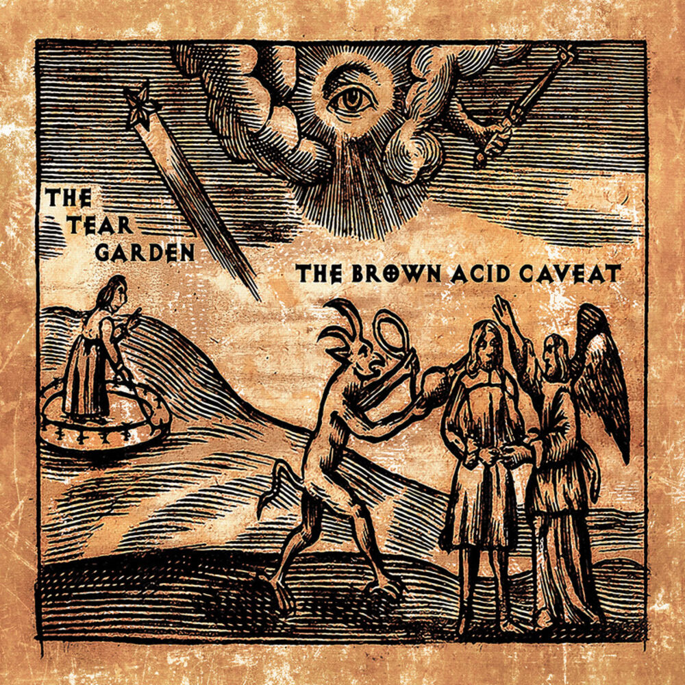 Picture of The Brown Acid Caveat