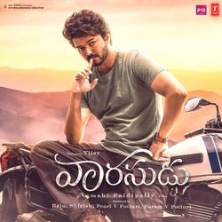 Cover of Vaarasudu