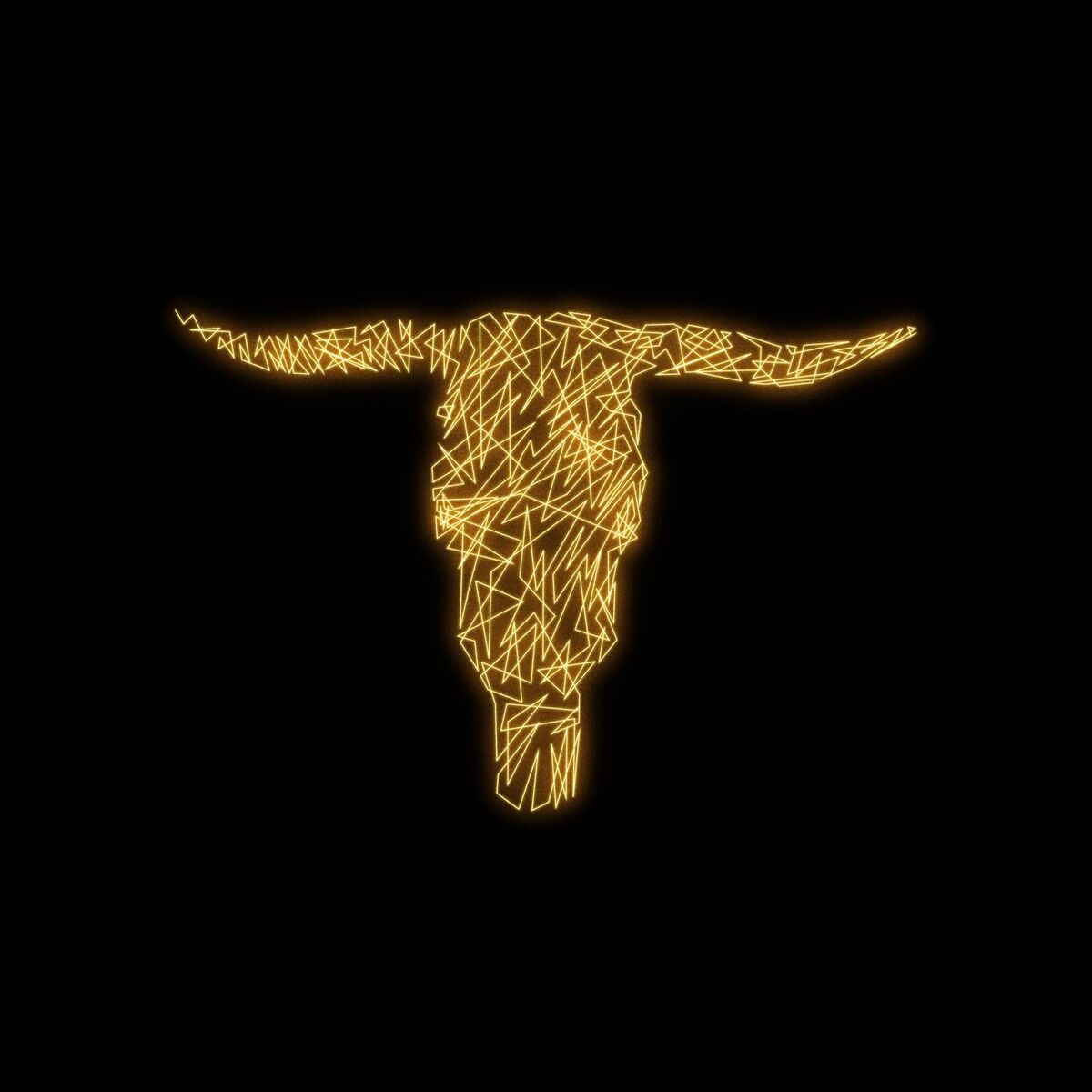 Album cover of Ructions