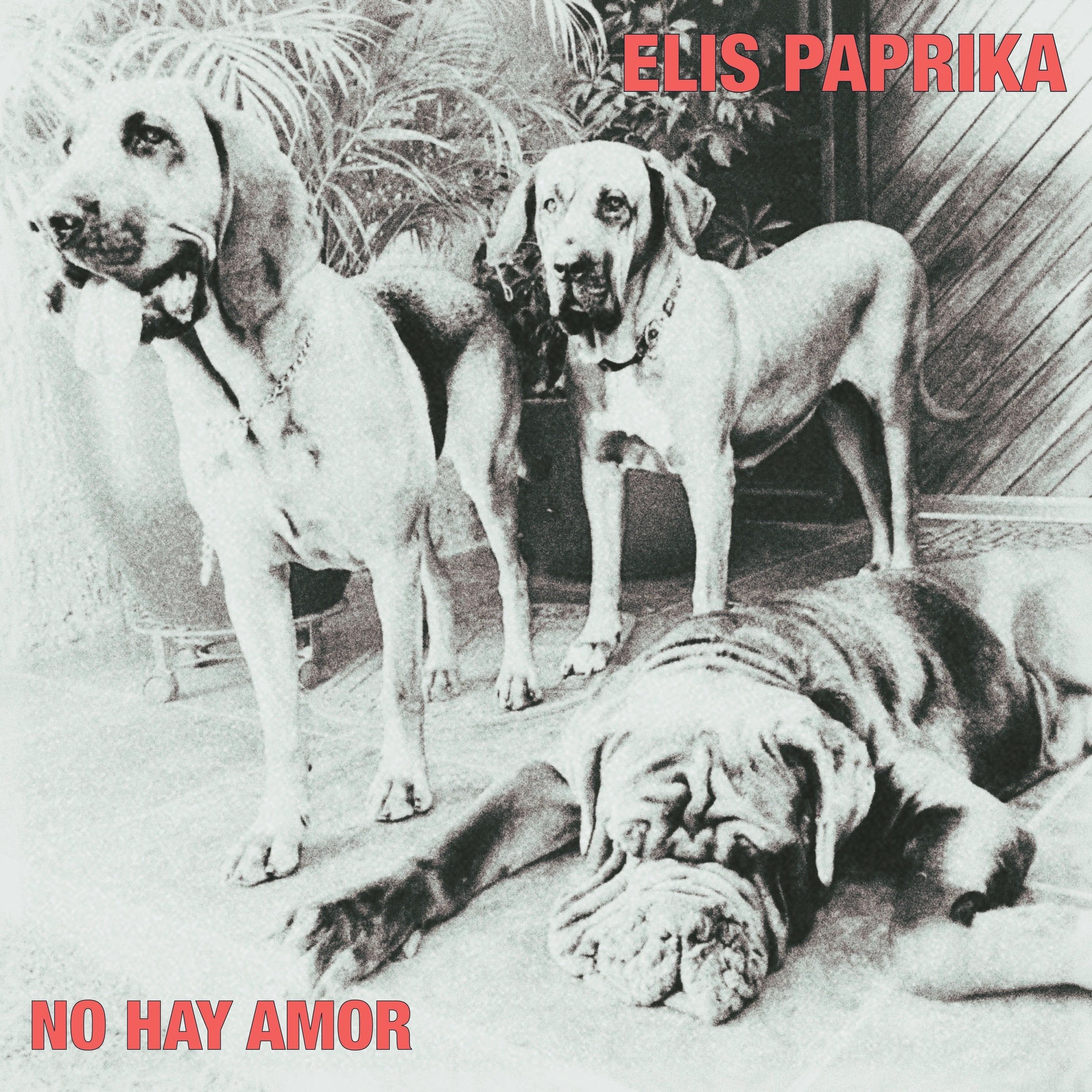 Album cover of No Hay Amor
