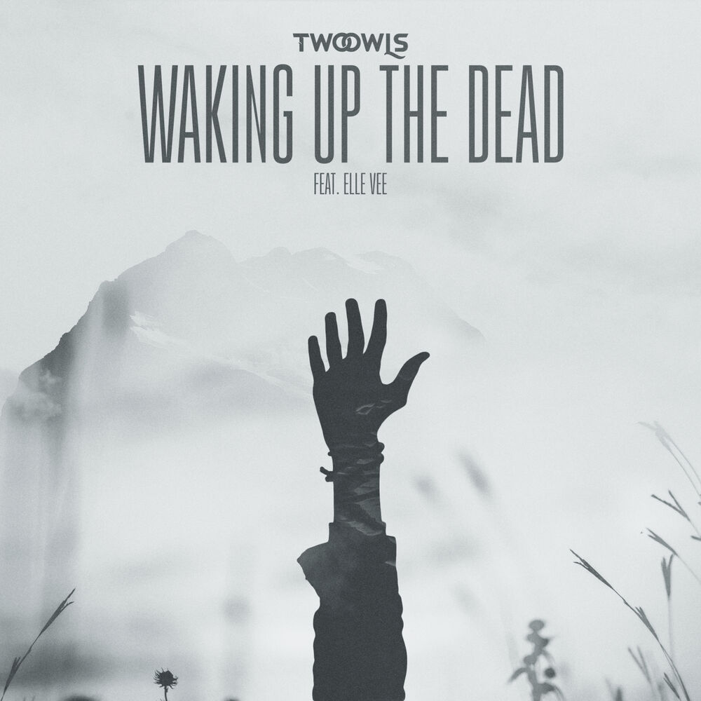 Picture of Waking Up The Dead (feat. Elle Vee)
