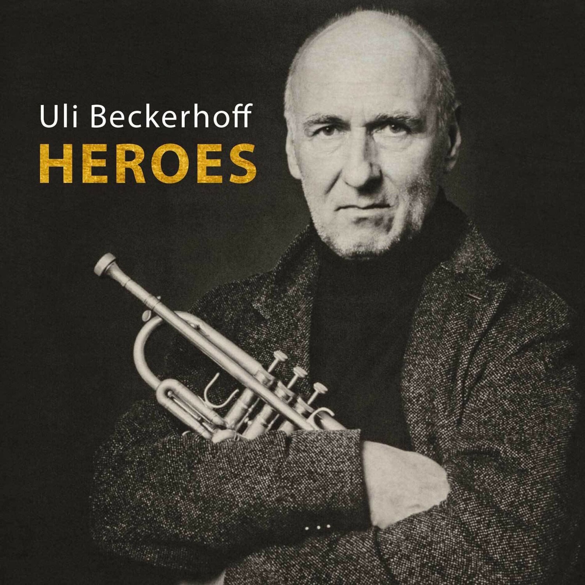 Album picture of Heroes