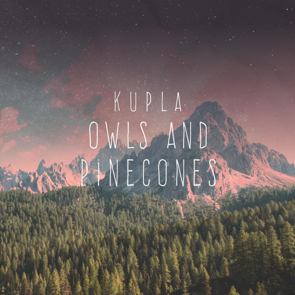 Picture of Owls and Pinecones