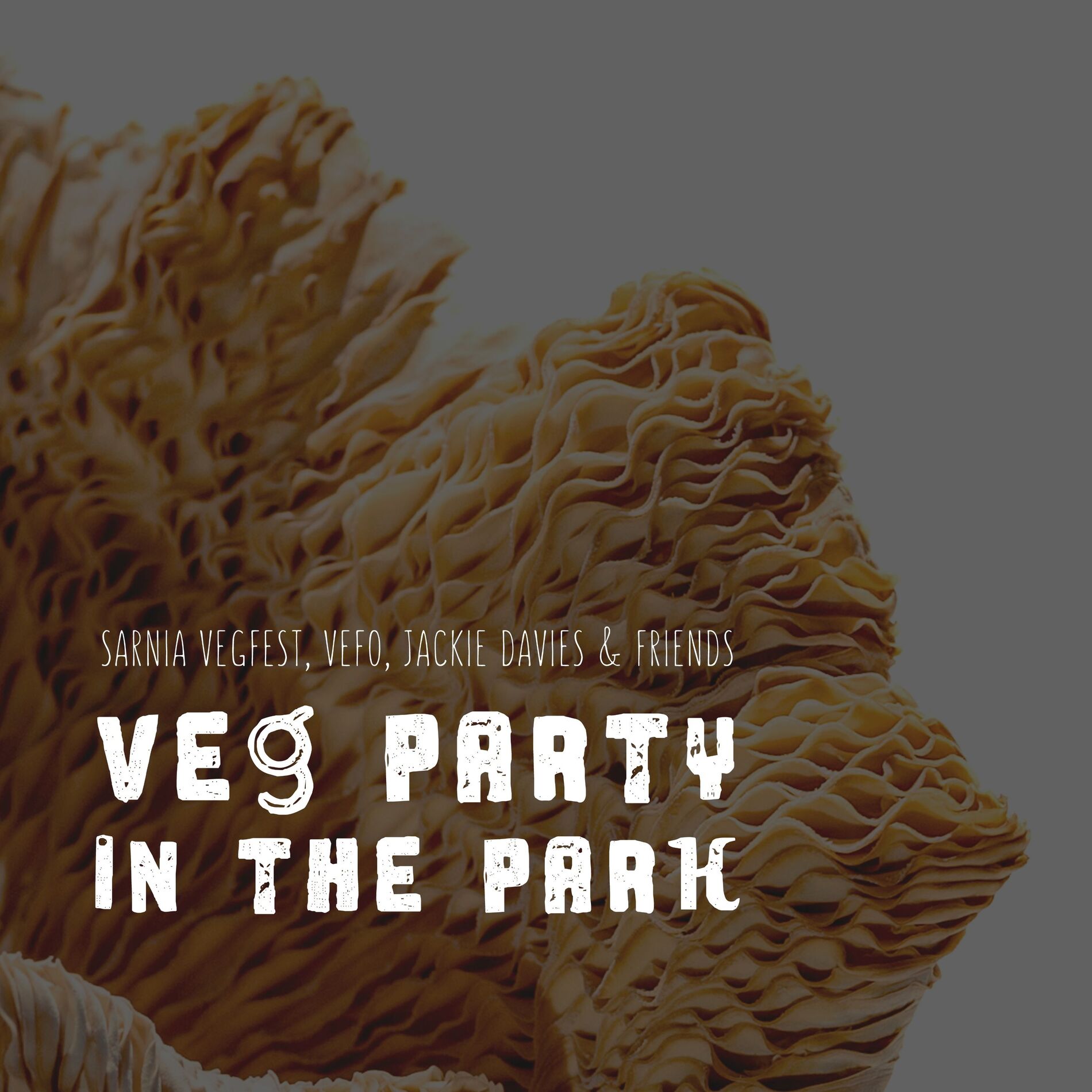 Album cover of Veg Party in the Park