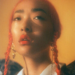 Cover of RINA