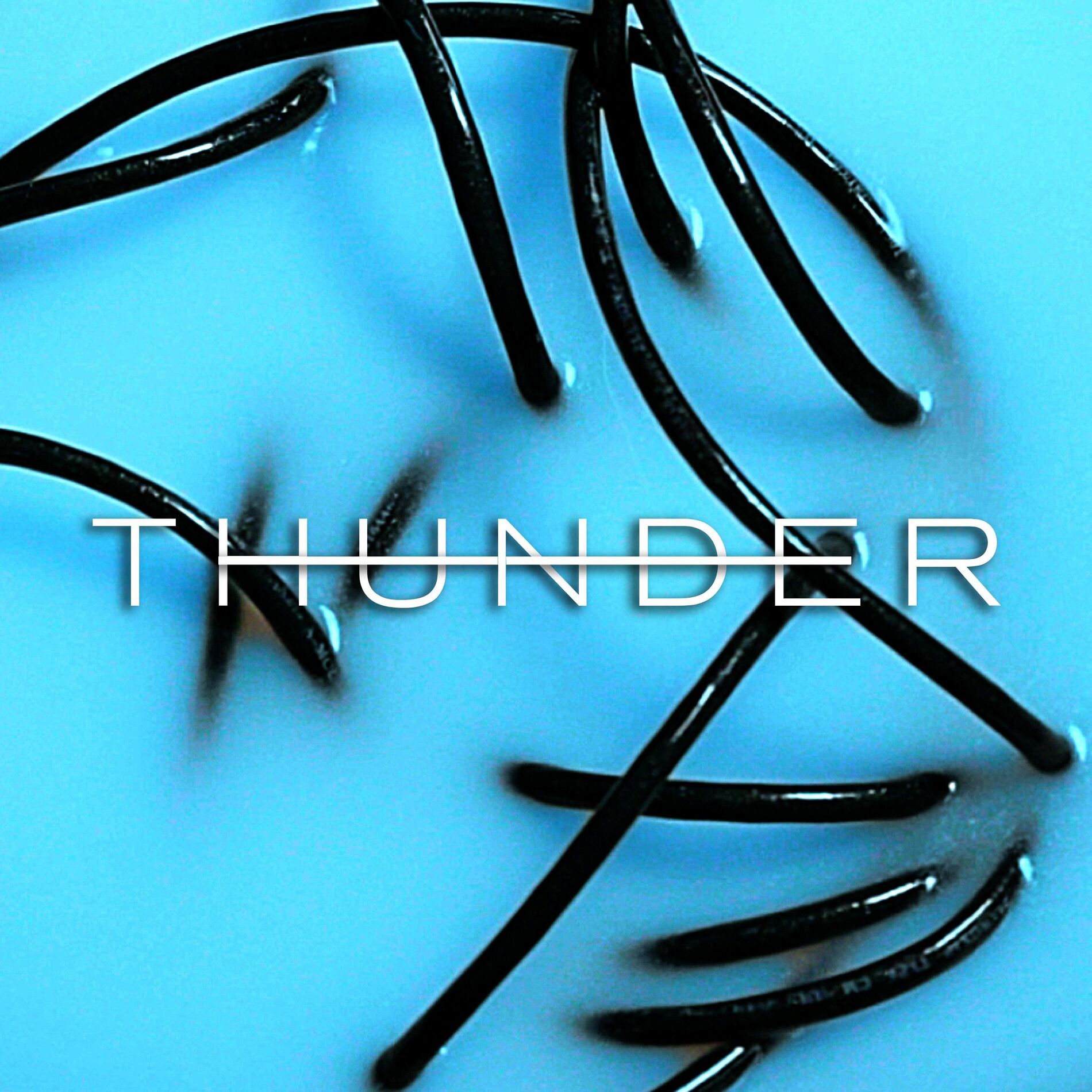 Album cover of Thunder