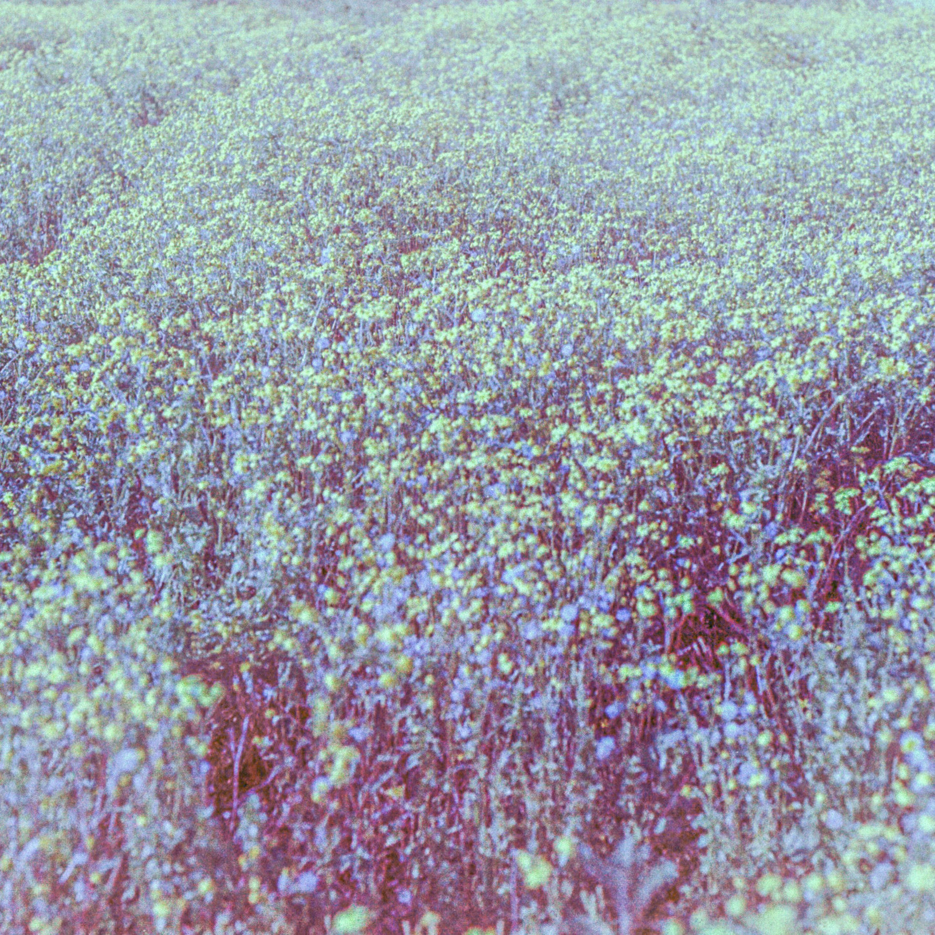 Album cover of Reminders