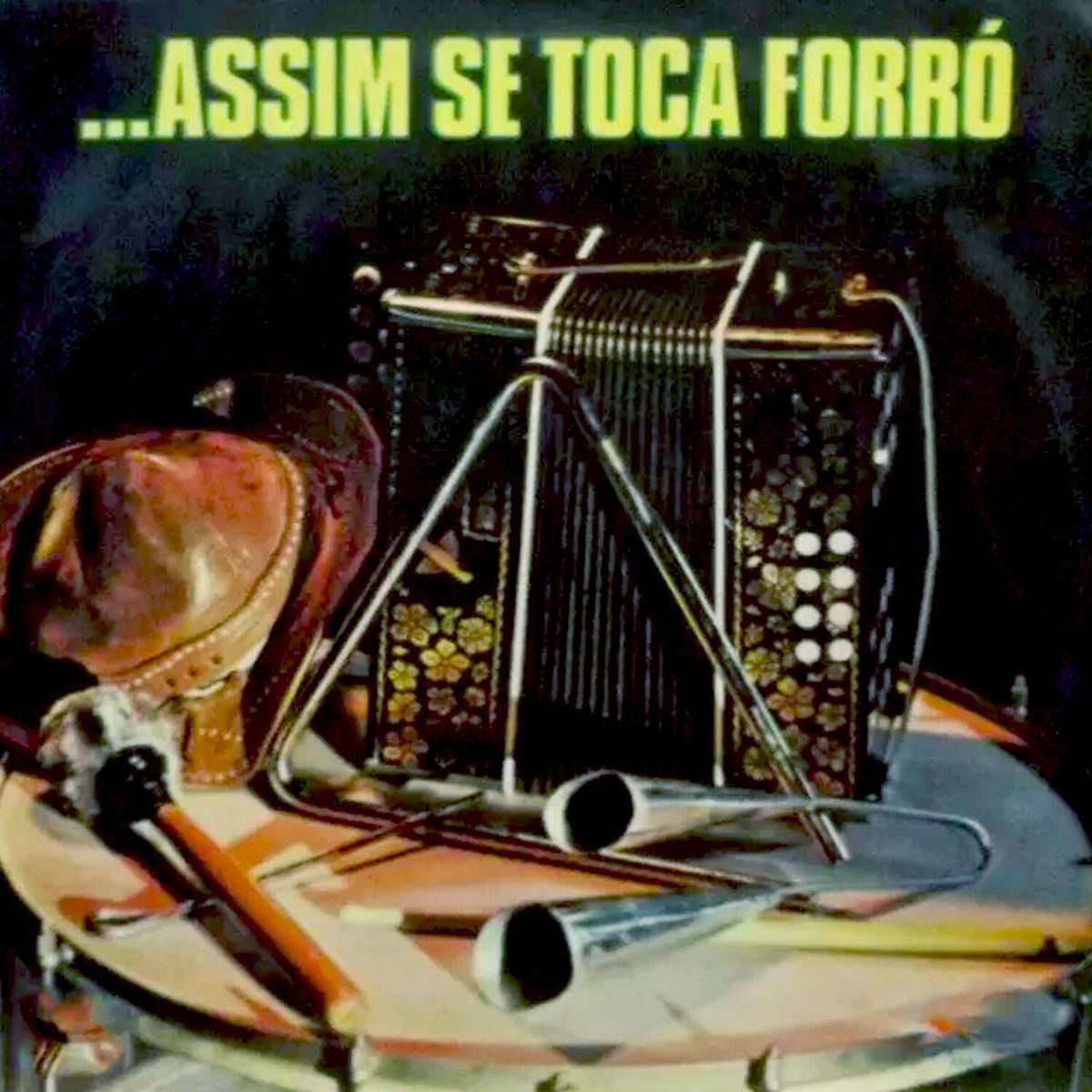 Album cover of ...Assim Se Toca Forró