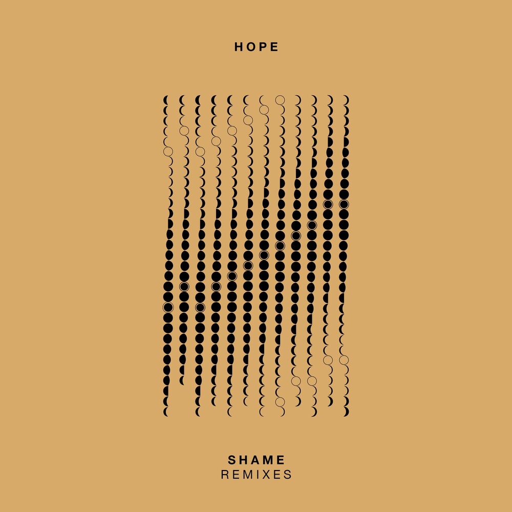 Picture of Shame Remixes