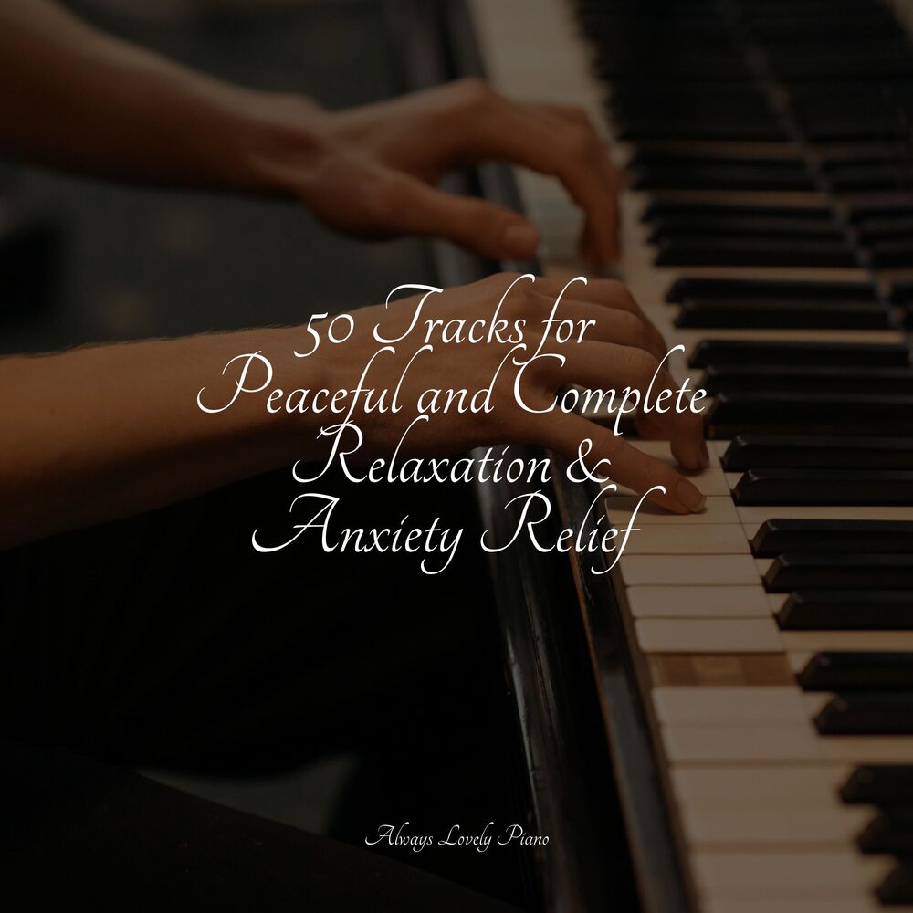 Picture of Quiet Listening Mix - 50 Tracks to Soothe Your Mind