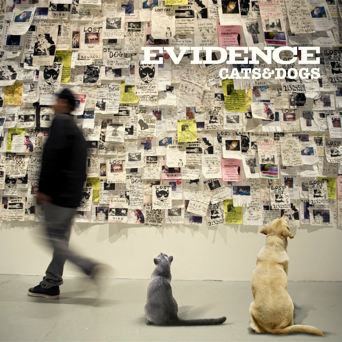 Album cover of It Wasn't Me