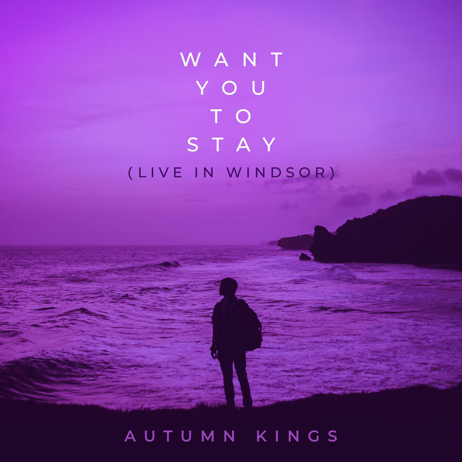 Album cover of Want You to Stay (Live in Windsor) (Live)